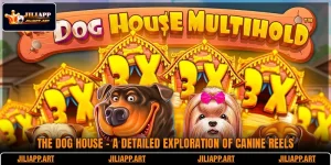 The Dog House - A Detailed Exploration Of Canine Reels